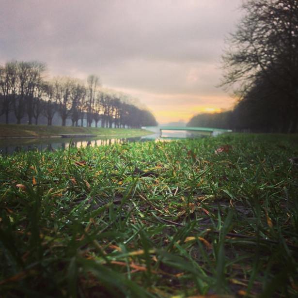 1614274_10156309077495307_1403401072454278018_o